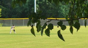 Soccer Field image 1