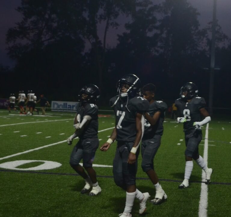 Soccer Field image 3