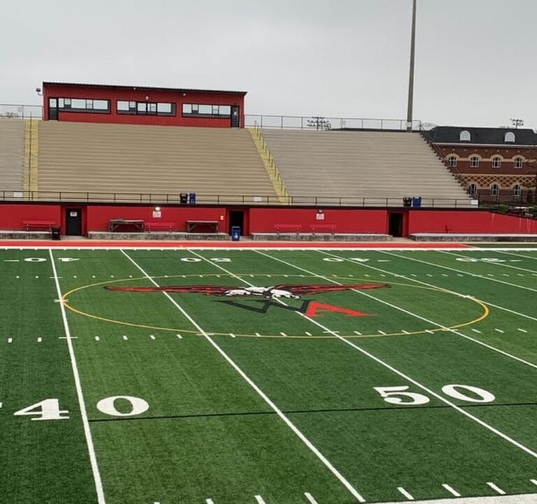 Soccer Field image 2