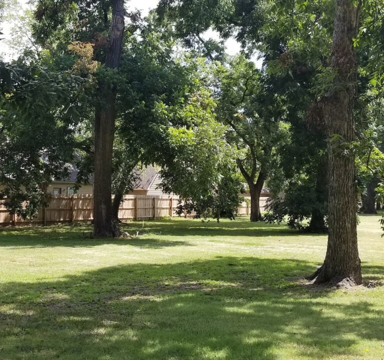 Soccer Field image 2