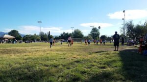 Soccer Field image 1