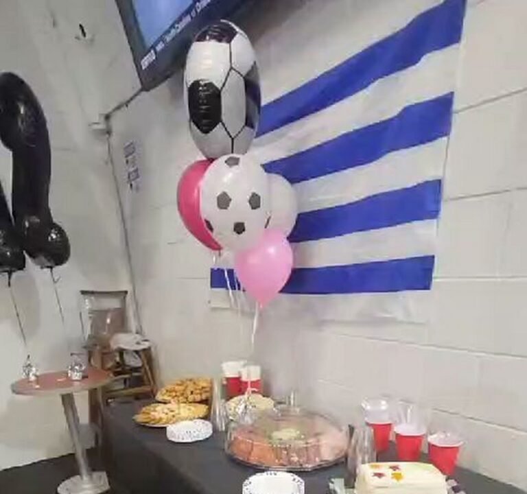 Soccer Field image 4