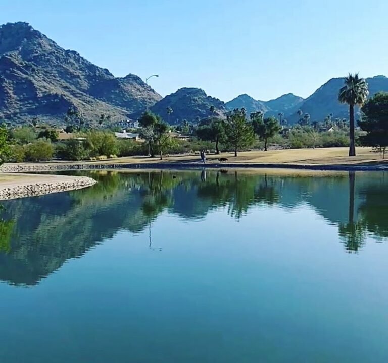 Soccer Field image 4