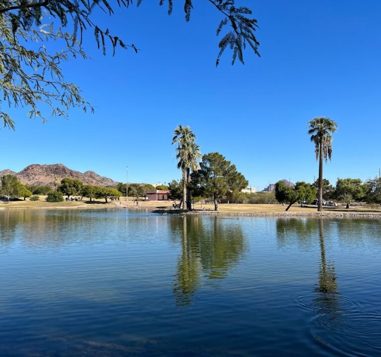 Soccer Field image 2