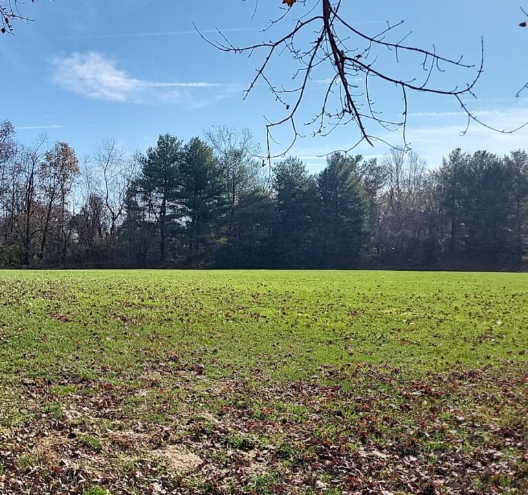 Soccer Field image 2