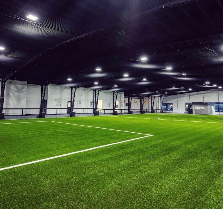 Soccer Field image 2