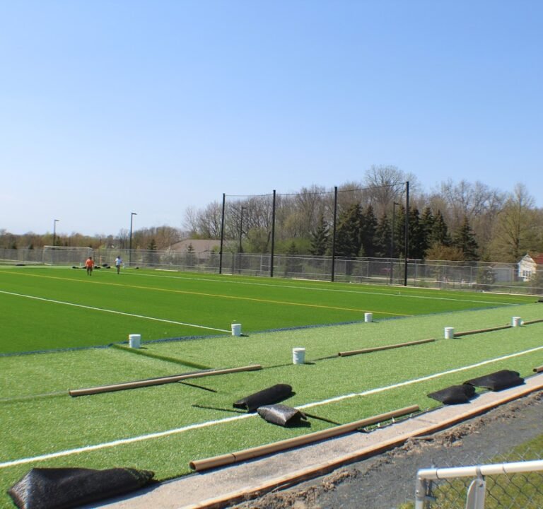 Soccer Field image 2