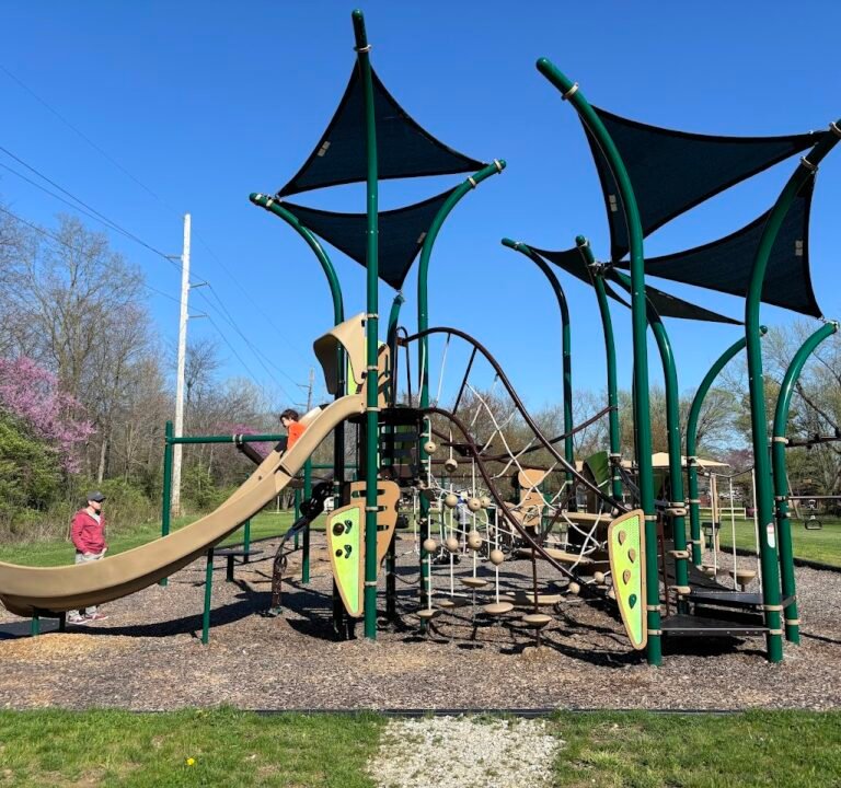 Soccer Field image 2