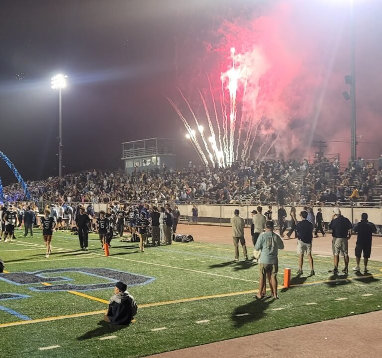 Soccer Field image 2