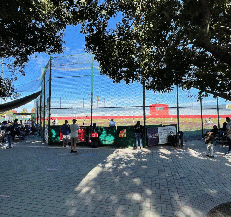 Soccer Field image 2