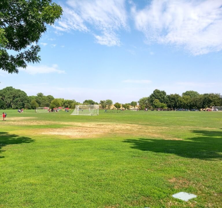 Soccer Field image 2