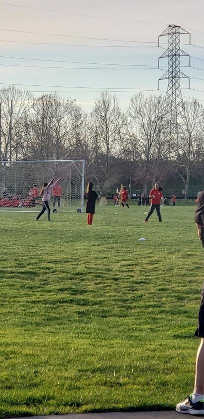 Soccer Field image 1