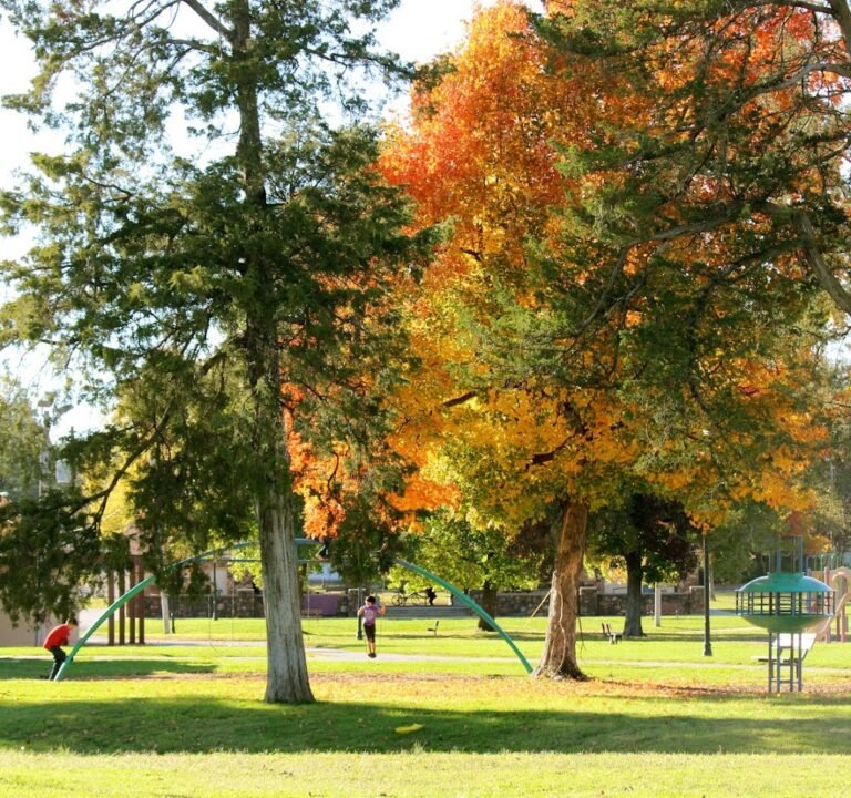 Soccer Field image 3