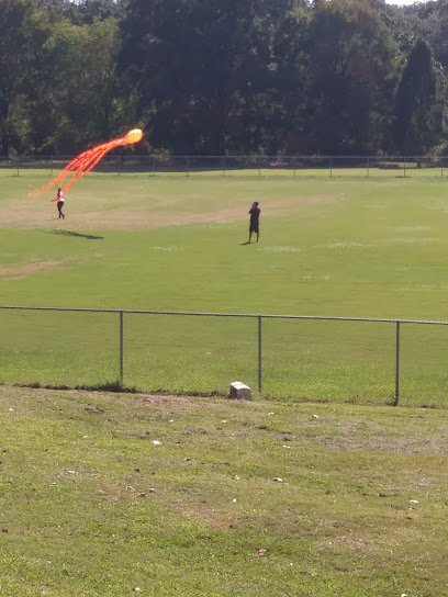 Soccer Field image 1