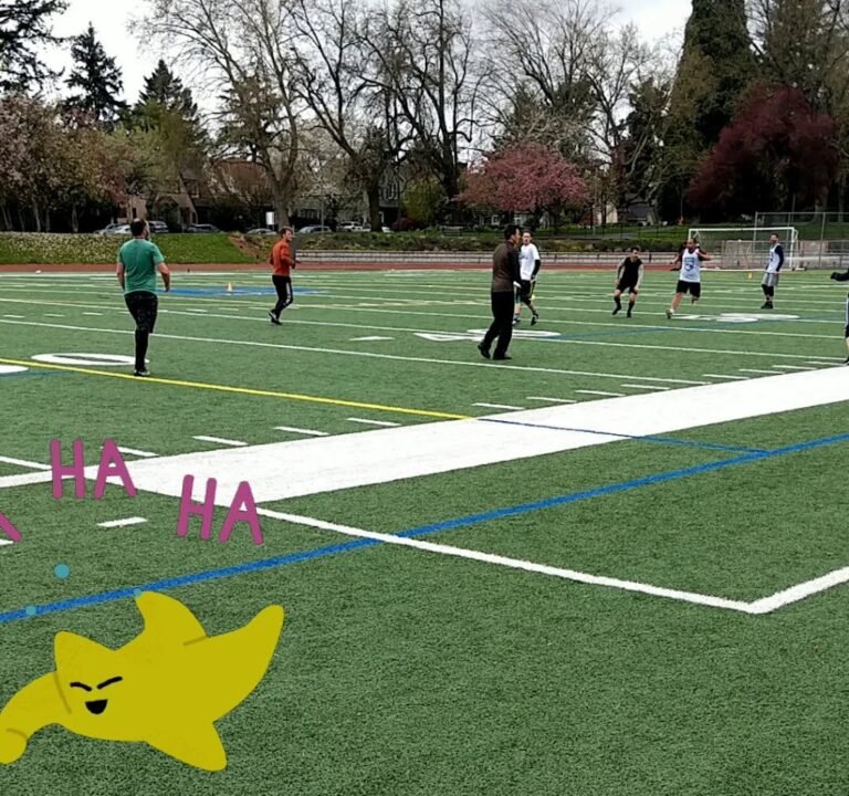 Soccer Field image 4