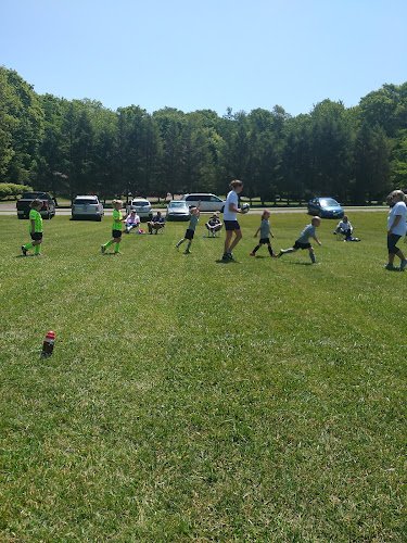 Soccer Field image 1