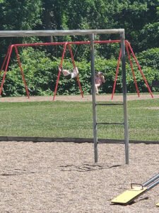 Soccer Field image 1