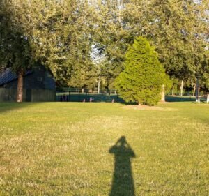 Soccer Field image 4