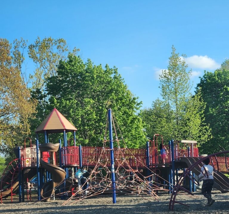 Soccer Field image 2