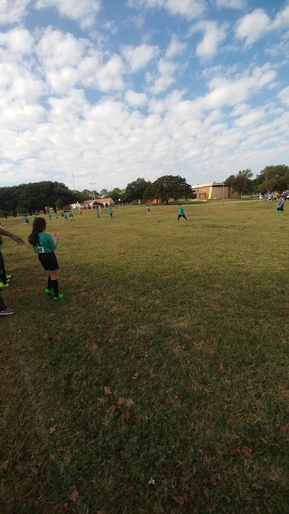 Soccer Field image 1