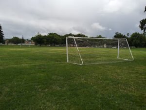 Soccer Field image 1