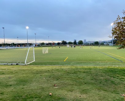 Soccer Field image 1