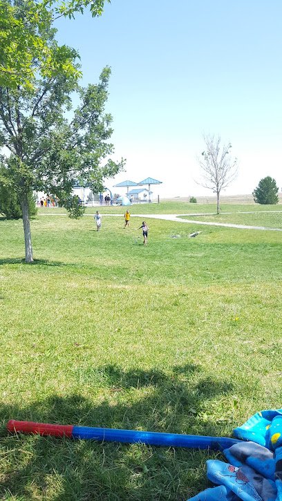 Soccer Field image 1