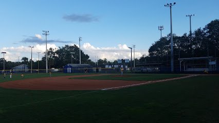 Soccer Field image 1