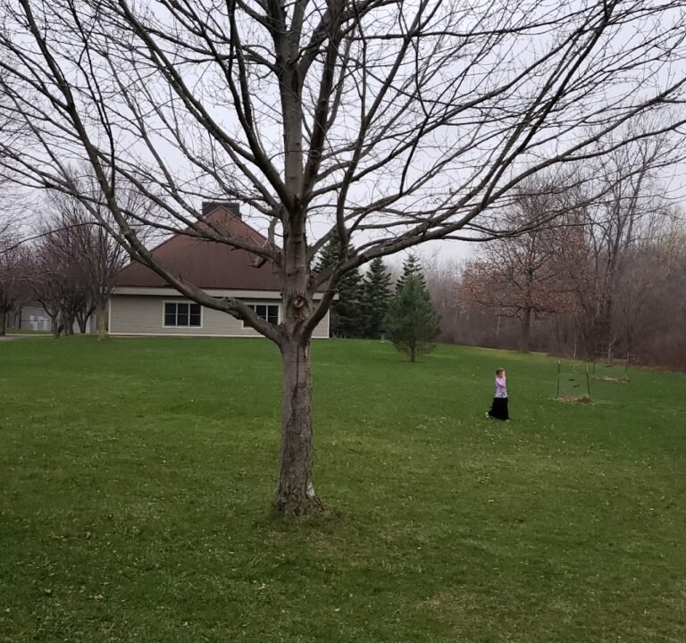 Soccer Field image 3