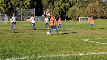 Soccer Field image 1