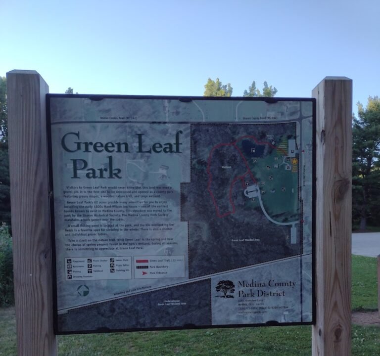 Soccer Field image 2