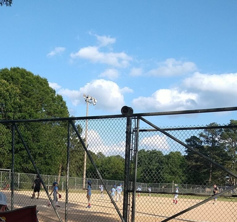 Soccer Field image 2