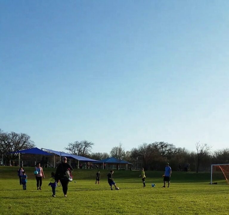 Soccer Field image 4