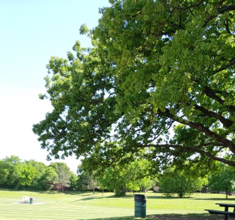 Soccer Field image 3