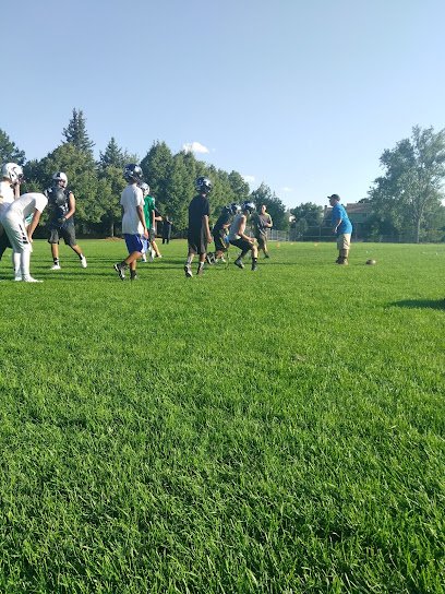 Soccer Field image 1