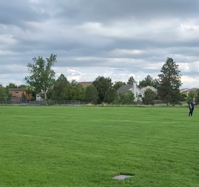 Soccer Field image 4