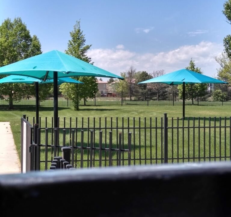 Soccer Field image 2