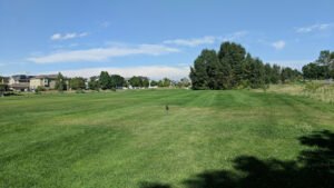 Soccer Field image 1