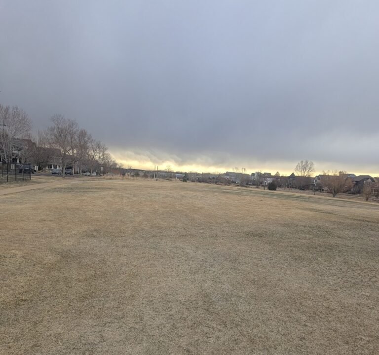Soccer Field image 3