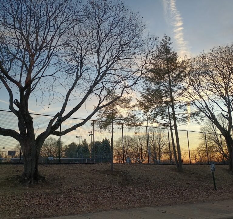 Soccer Field image 3