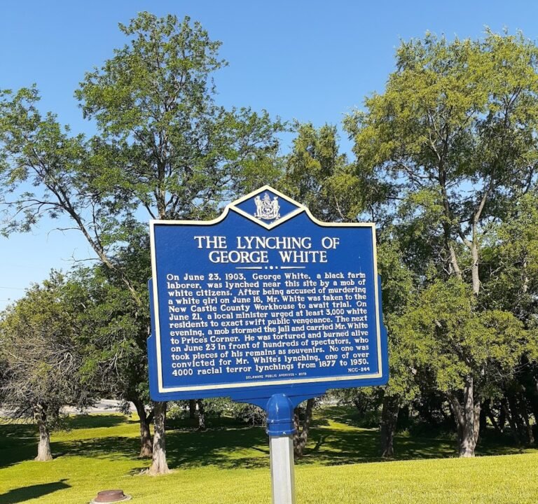 Soccer Field image 2