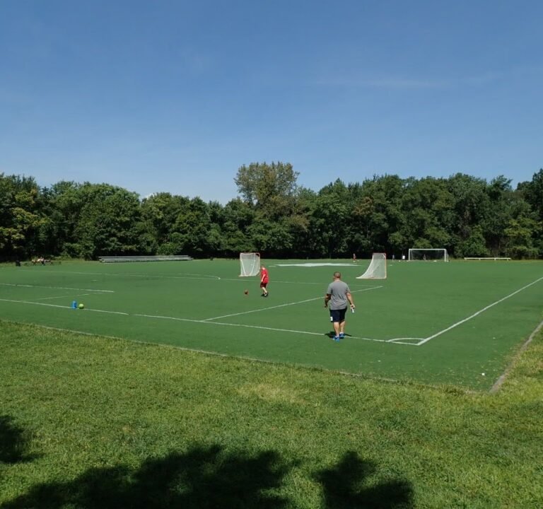 Soccer Field image 3