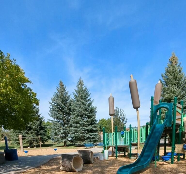 Soccer Field image 2
