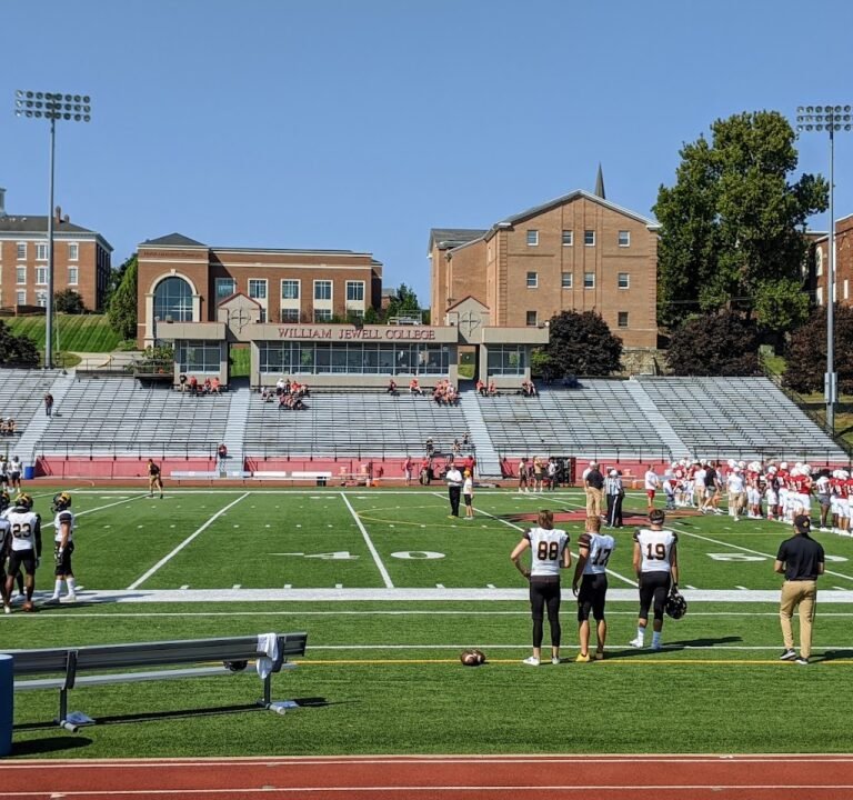 Soccer Field image 2