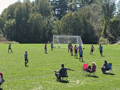 Soccer Field image 1