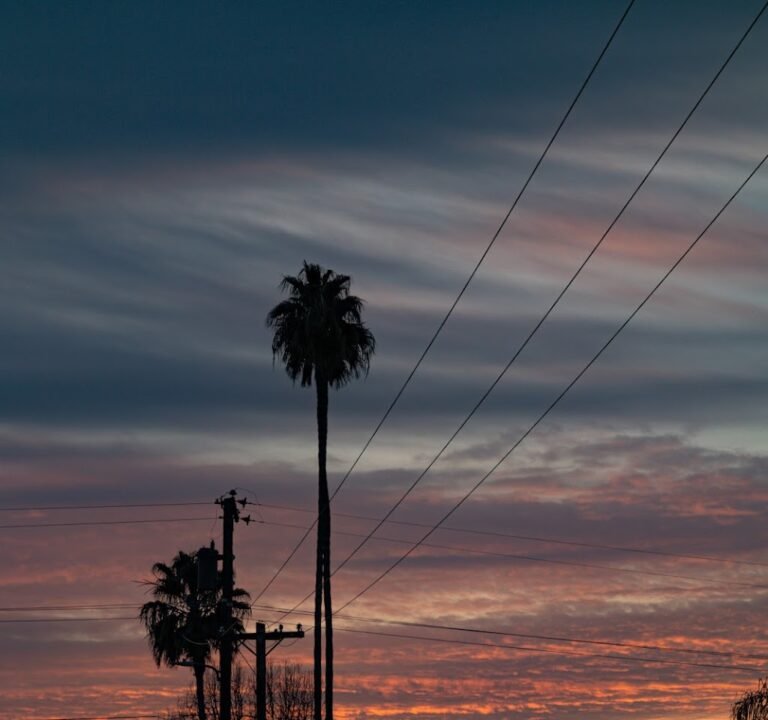 Soccer Field image 2