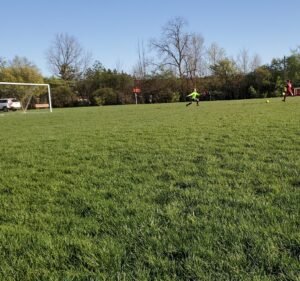 Soccer Field image 2