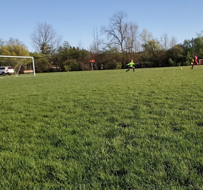 Soccer Field image 2