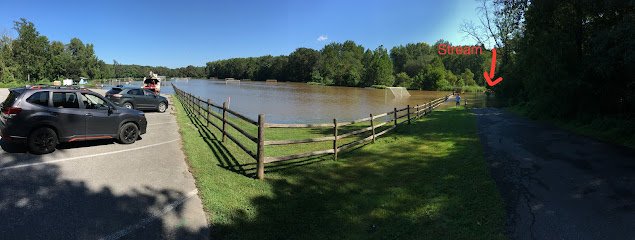 Soccer Field image 1