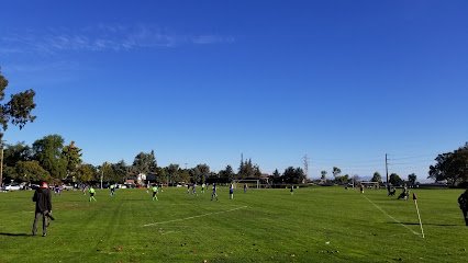 Soccer Field image 1